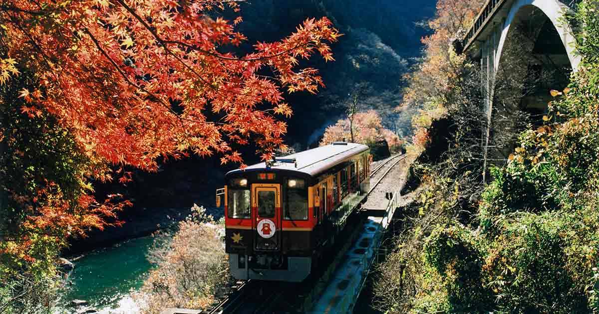 観光列車で楽しむ大人の紅葉狩り 関東エリアのおすすめ3選 ライフ 最新記事一覧 Predeli Style プレデリスタイル 暮らしを賢く おいしく シンプルに